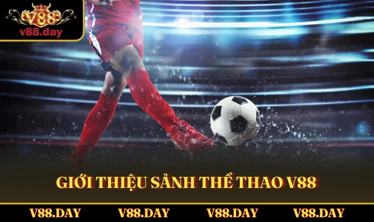 gioi thieu sanh the thao v88 Giới thiệu sảnh Thể Thao V88