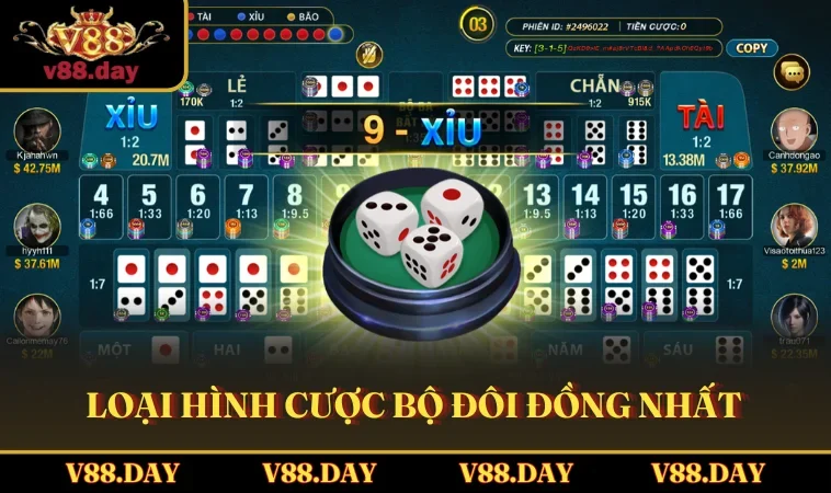 loai hinh cuoc bo doi dong nhat Loại hình cược bộ đôi đồng nhất