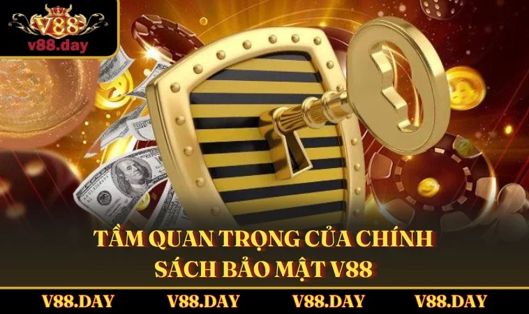 tam quan trong cua chinh sach bao mat v88 Tầm quan trọng của chính sách bảo mật V88